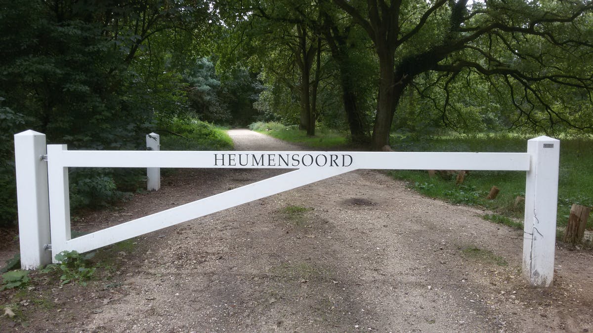https://www.stipnijmegen.nl/wp-content/uploads/sites/4/2021/08/e7a16490-adb6-11eb-85e3-17368ff497f4.jpg