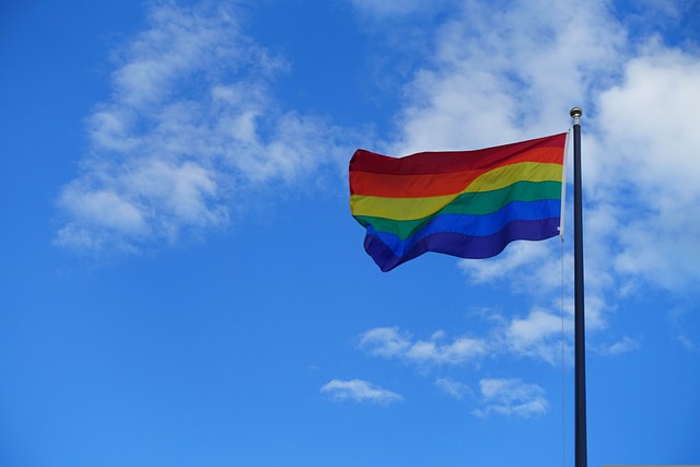 https://www.stipnijmegen.nl/wp-content/uploads/sites/4/2024/09/pride-ge4eb44959_640.jpg